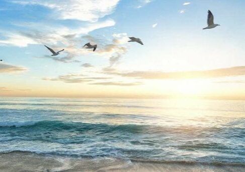 beach-1852945_1920 beach-1852945_1920